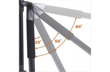 Image of Vanguard Alta+ 233AP Aluminum Tripod with Panhead