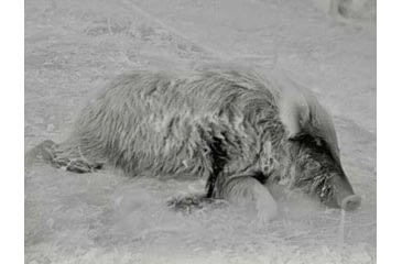 Image of X-Vision XVT Thermal Scope 3-9.2x35mm, Black, TS1