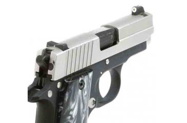 Image of XS Sight Systems DXW Big Dot for Sig P938 SI-0010P-3