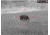 AGM Global Vision Varmint LRF TS50-640 Thermal Imaging Rifle ScopeW/Built-In Laser Range Finder, 2.5-32x50mm, 384x288, 50 Hz, Black, 8.5 3.1 4.2, 3142555306RA51
