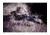 AGM Global Vision Comanche-40 NL2 Night Vision Clip-On System, Gen 2 Plus, Level 2, Black, 7.4 4.1 3.5, 16CO4122483021