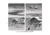 AGM Global Vision Taipan TM15-256 Thermal Imaging Monocular, 12 Micron, 256x192, 50 Hz, Black, 6.23 2.4 2.2, 3092851012TA51