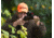 Aimpoint 9000SC NV 2MOA Red Dot Sight, 200136