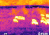 Armasight Helios 4 160-30 Thermal Imaging Bi-Ocular 4x FLIR Tau 2 - 160x120, 60Hz Core, 42mm Lens TAT216BN4HELI41
