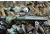 ArmasightArmasight Zeus 4 Limited Edition Thermal Imaging 42mm Rifle Scope, Tan TAT213WN4OP0042
