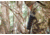 ATN BlazeTrek-619 1.25x - 10x Thermal Imaging Monocular 12 Micron, 640x512, Black, TIMNBLT619