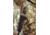 ATN BlazeTrek-619 1.25x - 10x Thermal Imaging Monocular 12 Micron, 640x512, Black, TIMNBLT619
