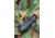 ATN BlazeTrek-619 1.25x - 10x Thermal Imaging Monocular 12 Micron, 640x512, Black, TIMNBLT619