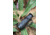 ATN BlazeTrek-619 1.25x - 10x Thermal Imaging Monocular 12 Micron, 640x512, Black, TIMNBLT619
