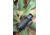 ATN BlazeTrek-619 1.25x - 10x Thermal Imaging Monocular 12 Micron, 640x512, Black, TIMNBLT619