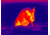 DEMO ATN Thor 320 3x Enhanced Thermal Imaging Weapon Sight TIWSMT323D-DEMO