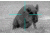 Demo,ATN Thor240 1-4x Thermal Weapon Scope,240x180,19mm,30Hz,25 micron TIWSMT241D