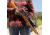 Barska Varmint 5-20x 50mm AO Trace MOA Rifle Scope, Black, Small, AC13356