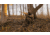 BOG Deadshot Aluminum Tripod