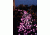 Brite Strike APALS, Blue - 100 Pack APALSBLU
