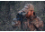 Bushnell Trophy Xtreme Binocular, 12x50, Roof Prism, FMC, PC3, Waterproof, Green, Box, 335012