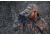 Bushnell Trophy Xtreme Binocular, 12x50, Roof Prism, FMC, PC3, Waterproof, Green, Box, 335012