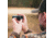 Covert Optics ThermX HS1 Handheld Thermal Scanner, Black, 4.3x2x1.5, CC0098