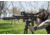 DNT Optics Hydra 2-8x50mm Thermal Rifle Scope, 50Hz, 640x512, HS650