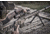 EOTech Vudu Rifle Scope, 5-25x50mm, 34mm Tube, First Focal Plane, MD3 Reticle, Hard Anodized, Black, VDU5-25FFMD3
