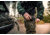 FLIR Systems Scion PTM366 - Thermal Monocular, 640x480, 12um, 60Hz, 25mm Manual, Black, 7TM-01-F330