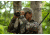 German Precision Optics GPO PASSION HD 10x42HD Binocular, Charcoal Black, 10x42HD, B620
