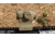 OpticsPlanet Exclusive Holosun 403GL 1x 2 MOA Aluminum Micro Red Dot Sight,Flat Dark Earth, HS403GL FDE