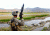 Steiner Laser Devices PEQ-15A DBAL-A2 w/5mW Red Visible Laser Pointer,5mW IR Pointer,50mW IR Illuminator,Foliage/Green 10003 PEQ15A10003-10003