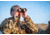 Leica Geovid R 8x42mm Rangefinder Binocular, LED, Black, 40811