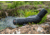 Leica APO -Televid 20-60x65mm Spotting Scope Kit