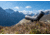 Leica Televid HD 20-60x82mm Spotting Scope Kit