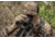 Leupold BX-3 Alpine HD 10x42mm Binocular