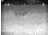 Night Owl Optics NightShot Rifle Scope, 3x40mm, Second Focal Plane, 3 Each in Black and White Reticle, Matte w/ IR850-NS Illuminator, Black, NIGHTSHOTGWP
