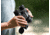 Nikon M5 12 x 42 Roof Prism Binoculars, Black, 16769