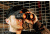 Open Box, Dealer Demo, Nikon Monarch 7 8x42 Binocular 7548