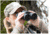 Nikon ProStaff 3S 8x42mm Roof Prism Binoculars, Matte Black, Black, 16030
