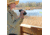 Nikon PROSTAFF P7 8x42mm Binocular, Roof Prism, Black, 16772