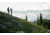 Nikon STABILIZED 12x25mm S Roof Prism Binoculars, Black, 16783