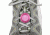 Nite Ize ShoeLit LED,Pink NST-M3-R3