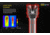 Nitecore EC4GT Flashlight CREE XP-L HI V3 LED, 1000 Lumens, Black/Blue NITECORE-EC4GT-BLUE