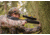 Zeiss Victory V8 1.8-14x50 Rifle Scope, 36mm, Illumiated Reticle #60, Black, 522119-9960-000