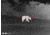 Owlset RSMX50 Riflescope