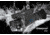 Pard Night Vision Rifle Scope, 6.5x-12x, 30fps, 2592x1944, 1920x1080, Black, NV-008LRF
