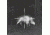 Pulsar PL76507Q TRAIL XP38 THERML SCP