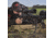 SightMark Citadel 5-30x56 LR2 Rifle Scope, Black, SM13040LR2