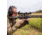 SightMark Citadel Rifle Scope, 1-10x24mm, 30mm Tube, Second Focal Plane, HDR Red Illuminated Reticle, Matte, Black, SM13138HDR