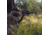 SightMark Core HX 3-9x40VHR Venison Hunter Rifle Scope, 450 Bushmaster Reticle, Black, SM13068VHR-450BM