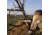 SightMark Core HX 3-9x40VHR Venison Hunter Rifle Scope, 450 Bushmaster Reticle, Black, SM13068VHR-450BM