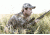 SightMark Core HX 3-9x40VHR Venison Hunter Rifle Scope SM13068VHR