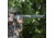 SightMark Core SX 2-7x32SGR BDC Shotgun Scope SM13065SGR
